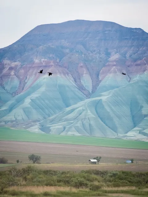 kuşcenneti